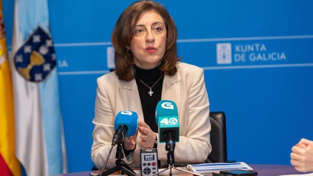 La conselleira de Medio Ambiente, Ángeles Vázquez.