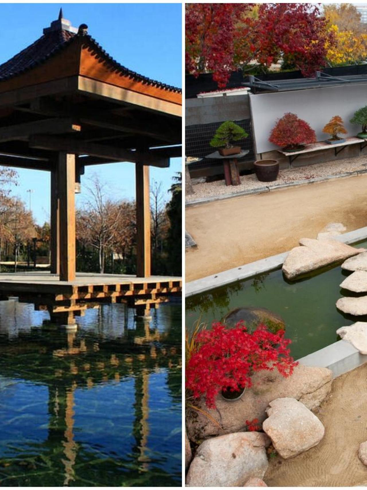 Diferentes vistas del jardín del museo del bonsái y del Parque de la Vega de Alcobendas.