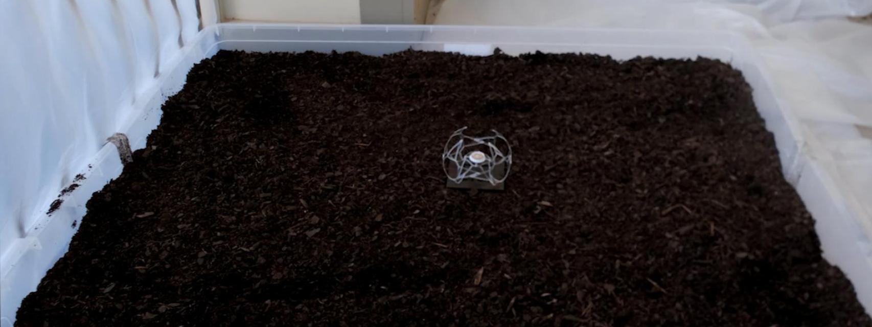 El robot con forma de pelota en una prueba.