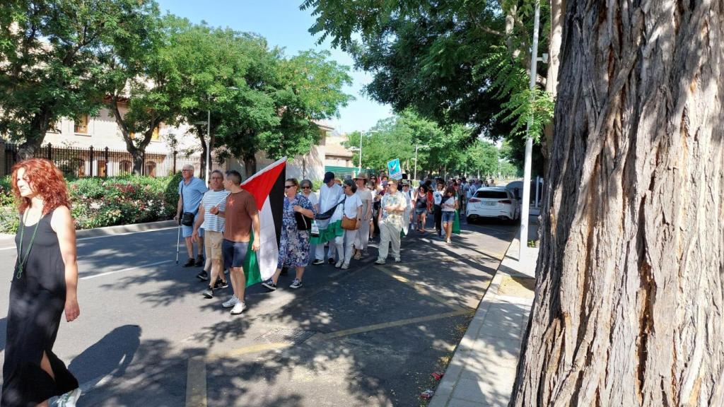 Marcha por Gaza' en Toledo.