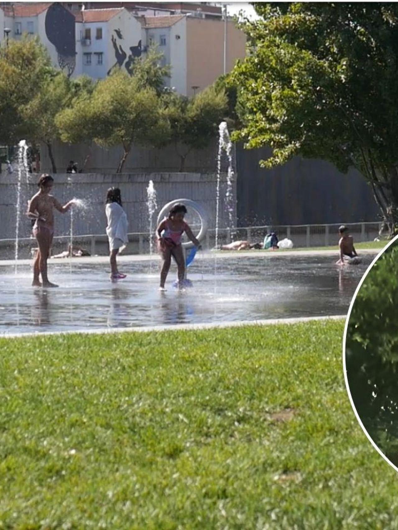 La playa urbana de Madrid Río y un bañista en un fotomontaje.