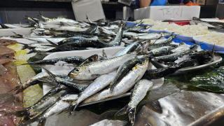 Sardinas en el mercado de la plaza de Lugo en A Coruña.