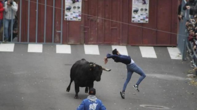 ARCHIVO - Toros en Zaratán 2019