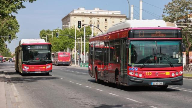 Autobuses de Tussam circulando por Sevilla.