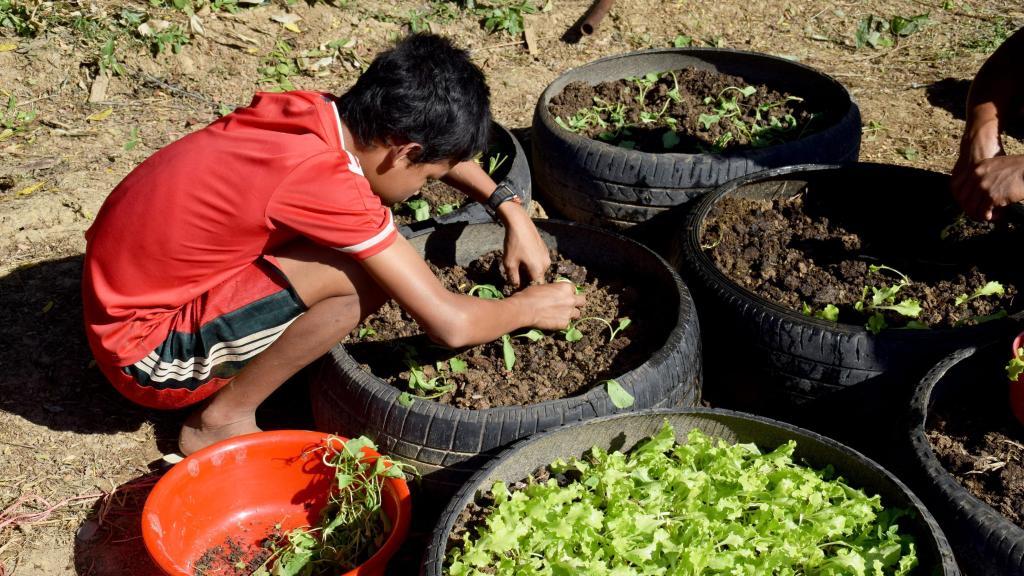 Un niño camboyano en uno de los proyectos de Manos Unidas.