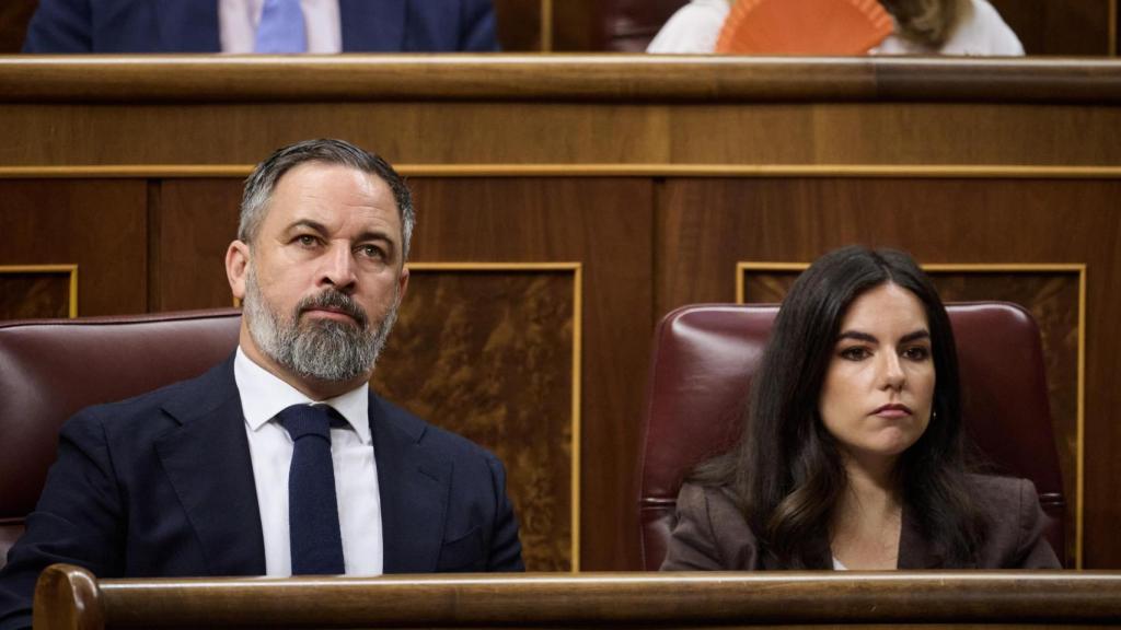 Los dirigentes de Vox Santiago Abascal y Pepa Millán este miércoles en el Congreso.