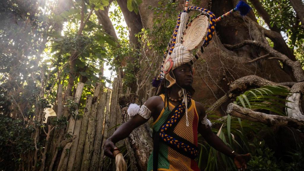 África será protagonista este verano en Bioparc Fuengirola.