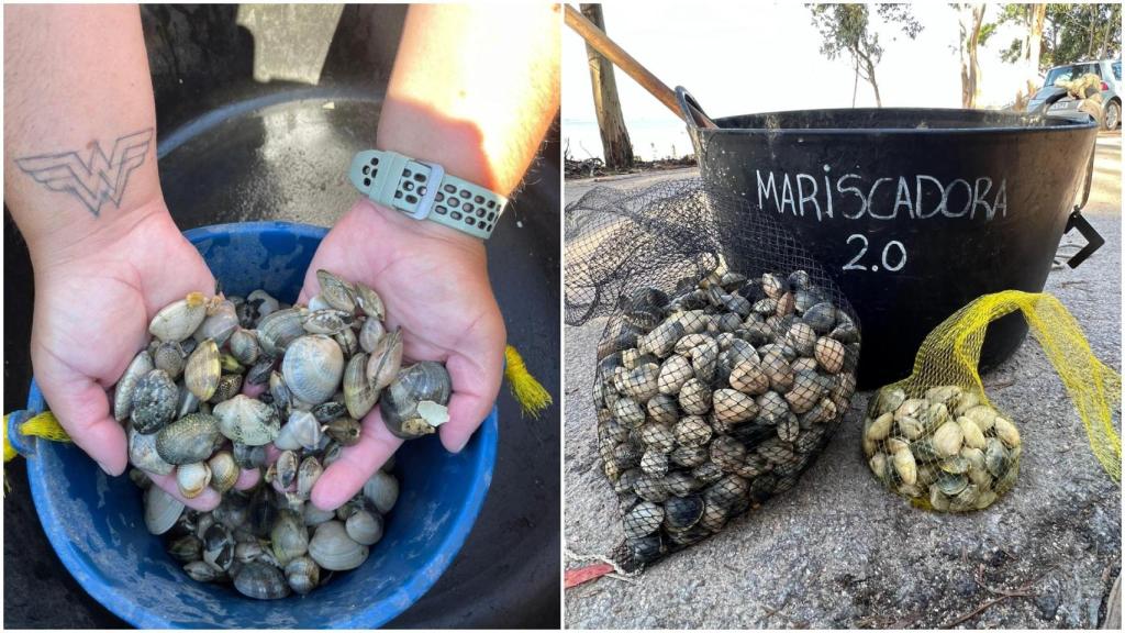 Recogida de marisco