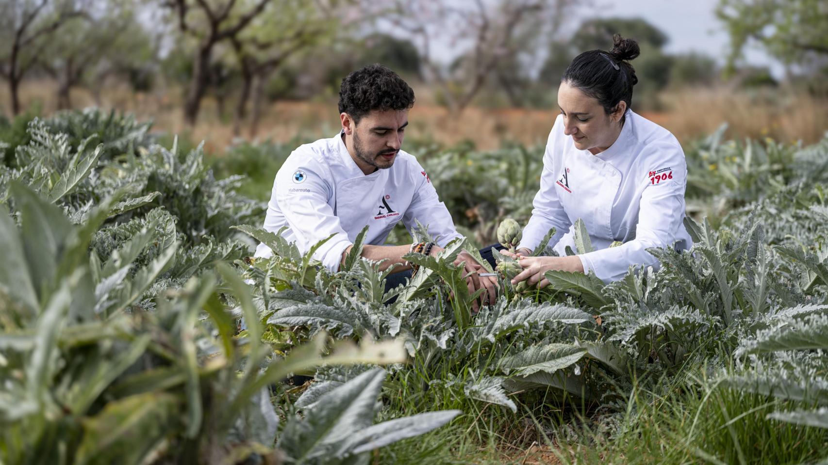 Emanuel y Alejandra, chefs de Atalaya, en un huerto de alcachofas de Alcocéber.