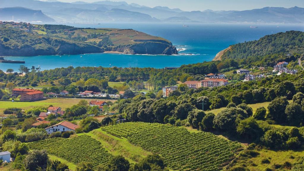 El entorno de la bodega Itsasmendi.