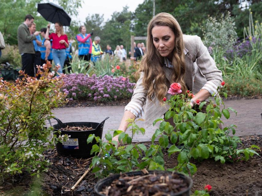 La Princesa plantó unas rosas de la variedad que lleva su nombre.