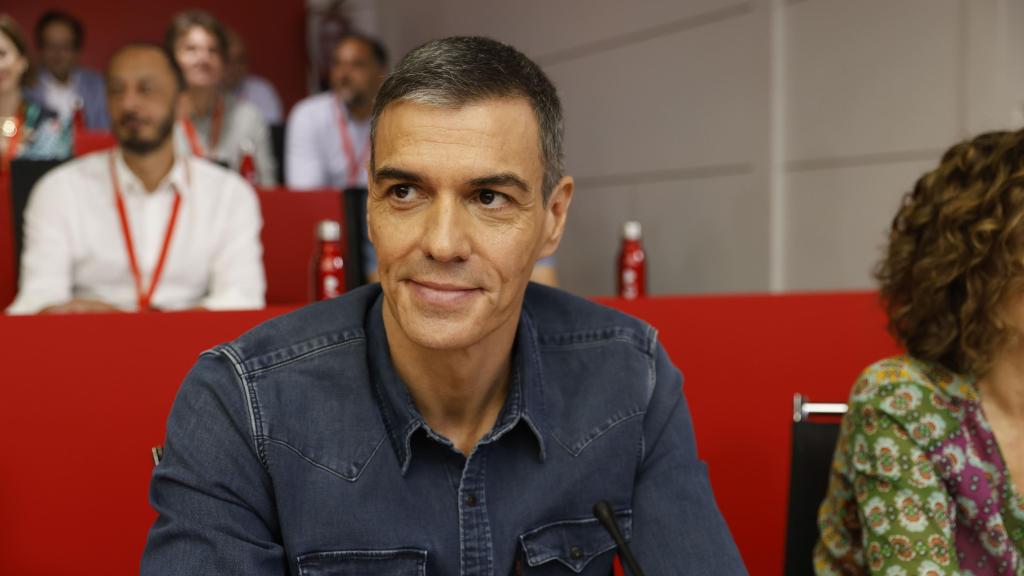 El presidente del Gobierno y secretario general del PSOE, Pedro Sánchez, durante el Comité Federal del partido este sábado, en la sede del PSOE en la madrileña calle de Ferraz.