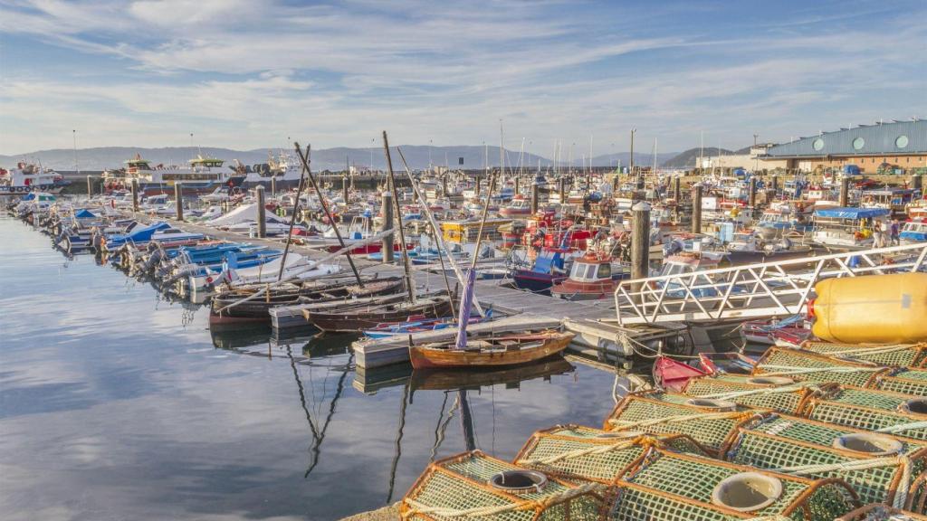 Barcas de pesca en el puerto de Bueu