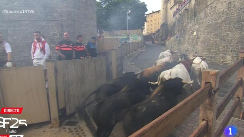 Toros de Fuente Ymbro