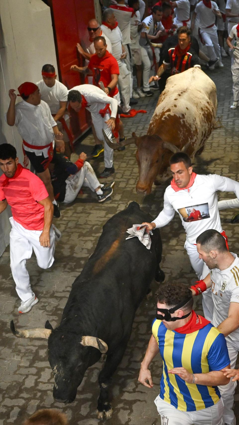 Los toros de la ganadería de Fuente Ymbro entran en la plaza de toros.
