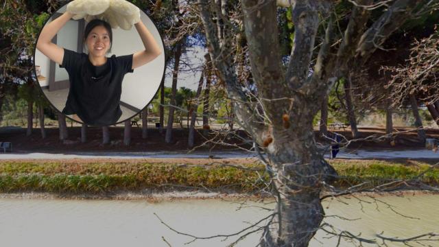 Confirman que el cuerpo hallado es el de Genying Q.