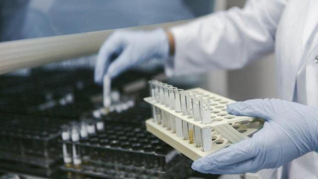 Un médico de laboratorio analizando pruebas genéticas.