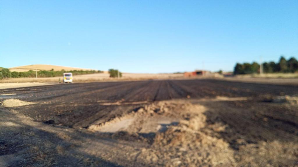 Campo de cultivo donde se ha originado el incendio en Coreses