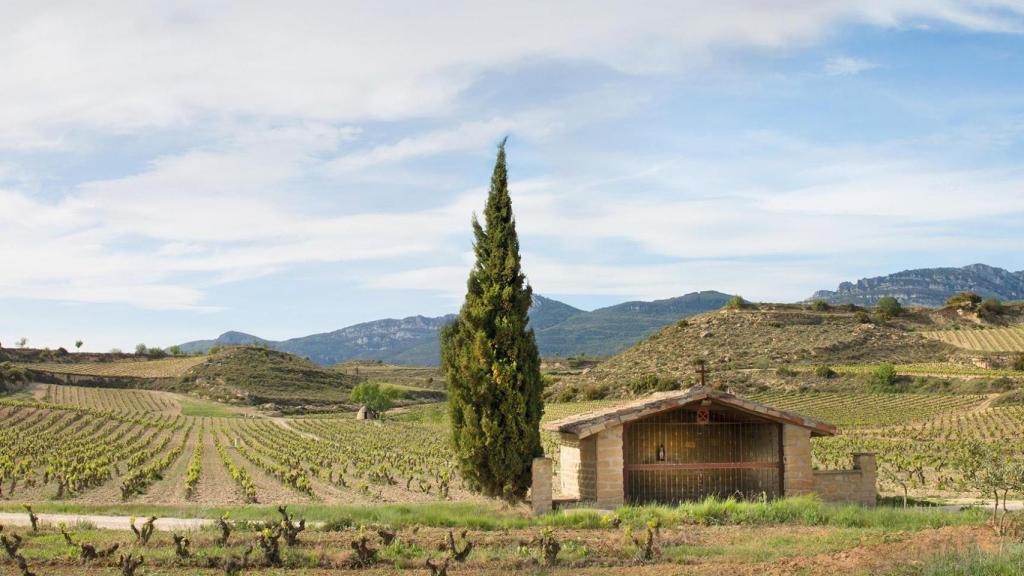 Finca El Regalo, de Bodegas Izadi.