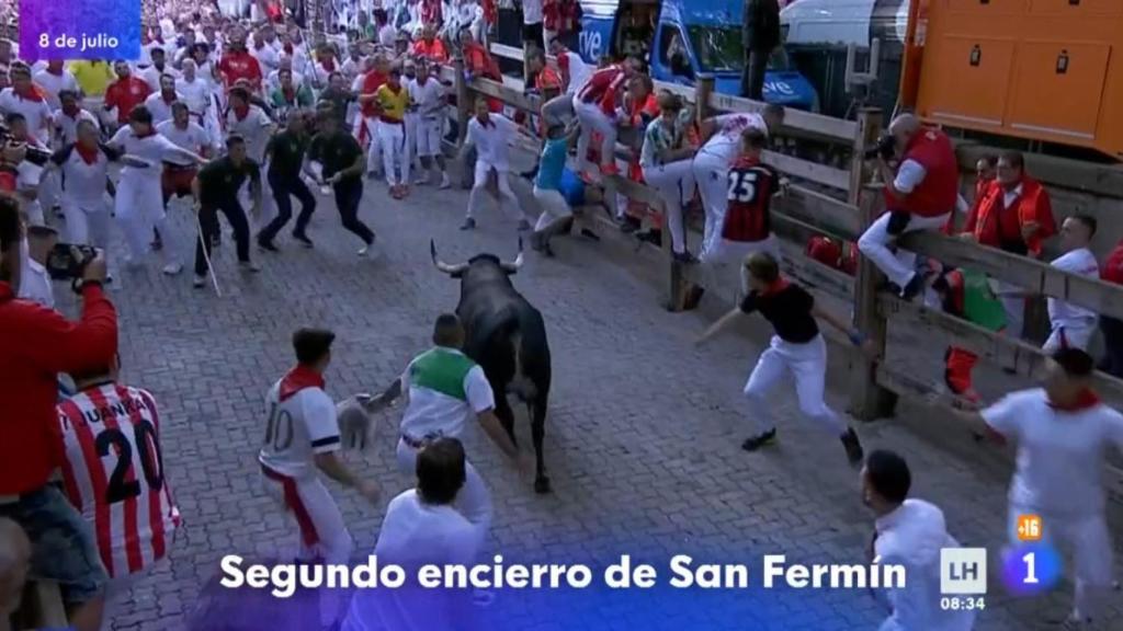 Un toro rezagado.