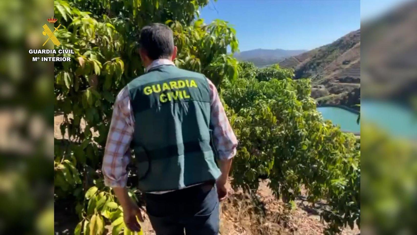 Un agente de la Guardia Civil durante la operación.