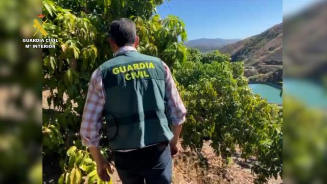 Un agente de la Guardia Civil durante la operación.
