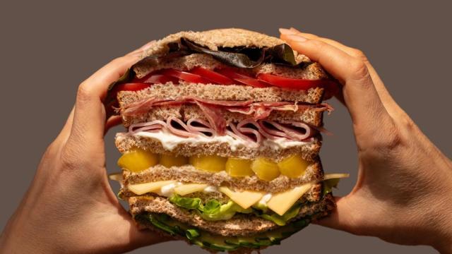 Un sandwich, también bocadillo.