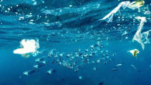Contaminación de los océanos por plástico. Naja Bertolt Jensen - Unsplash