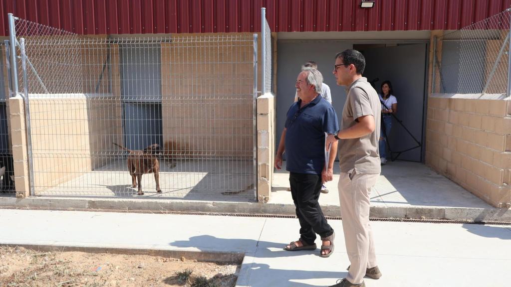 Visita al Centro de Protección Animal
