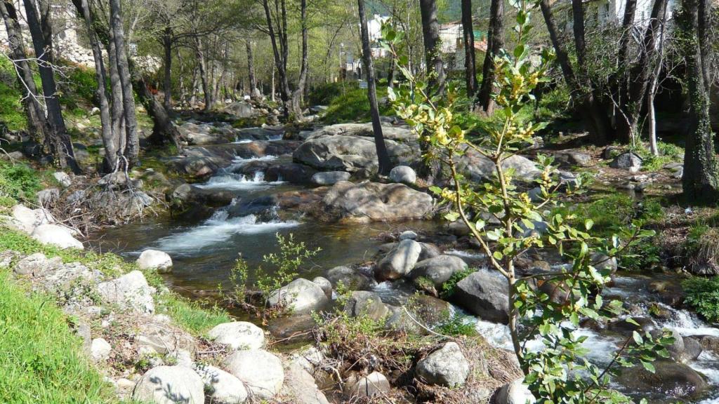 Una zona natural en Piedralaves.