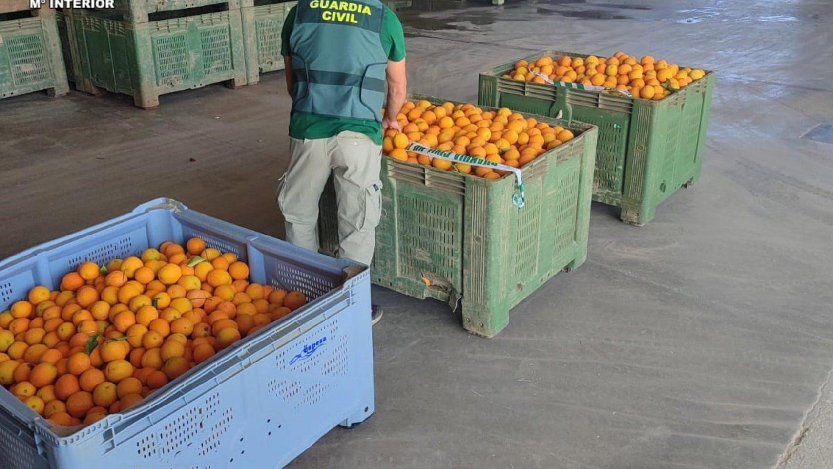 Agente de la Guardia Civil junto a las naranjas robadas