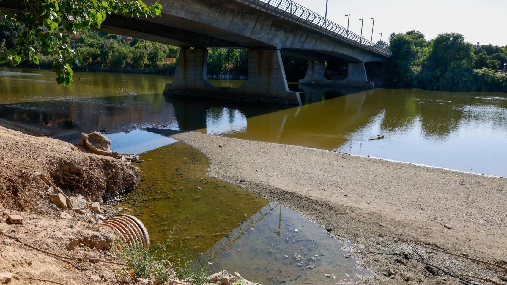 El verano devuelve al río Tajo a su triste realidad: las imágenes de la bajada del caudal