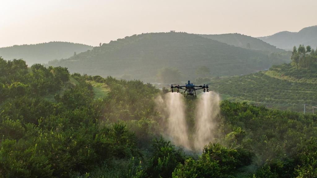 T70P de DJI.