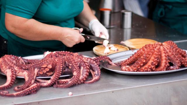 Pulpo