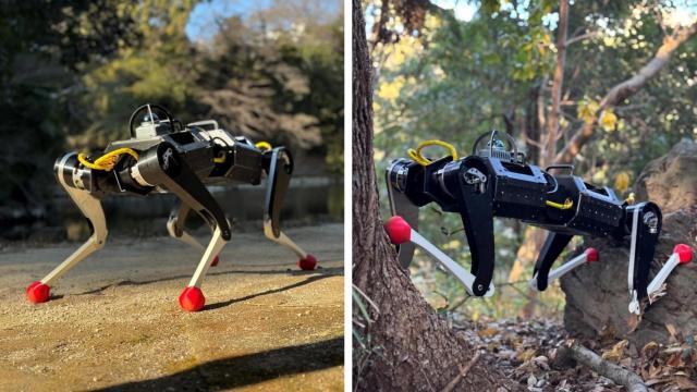 Perro robot.