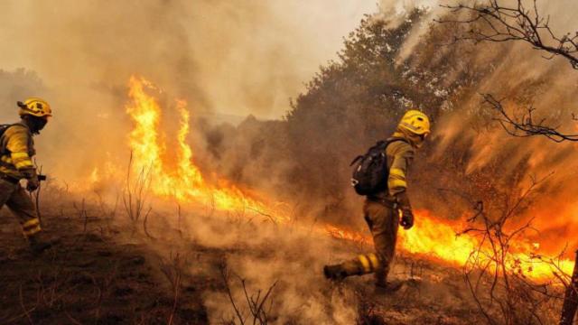 Un bombero intenta sofocar un incendio forestal. EFE