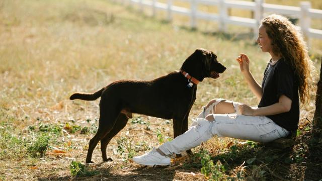 Un perro con una chica en la playa.