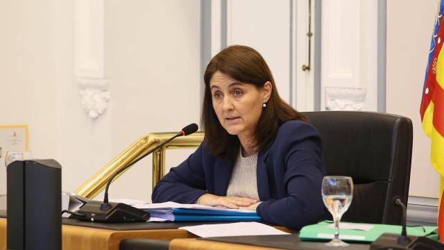 La diputada Marina Sáez en un pleno provincial de Alicante.