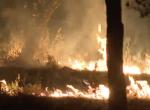 Un incendio calcina un pasto muy cerca del Zoo de Madrid: las llamas quedaron a pocos metros de los animales