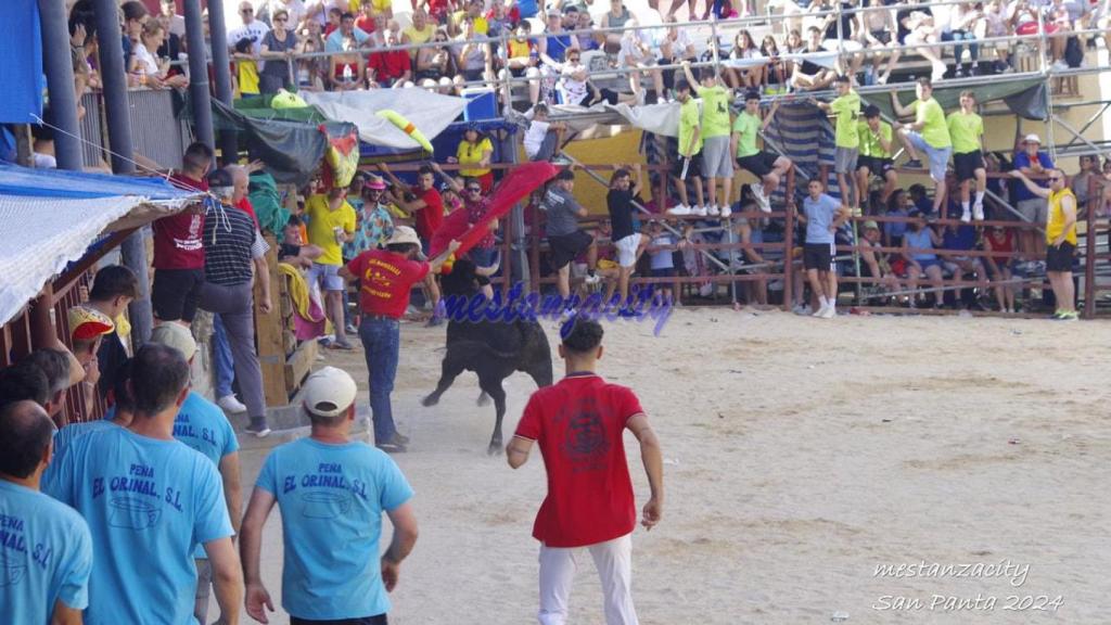 Encierros en Mestanza durante las Fiestas en honor a San Pantaleón.