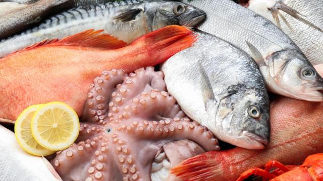 Pescado fresco