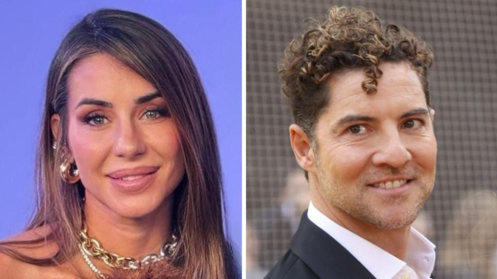 Elena Tablada y David Bisbal estuvieron juntos por más de seis años. Se conocieron en 2005 y se rompieron en 2011.