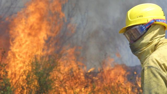 Fotografía de archivo de un bombero forestal