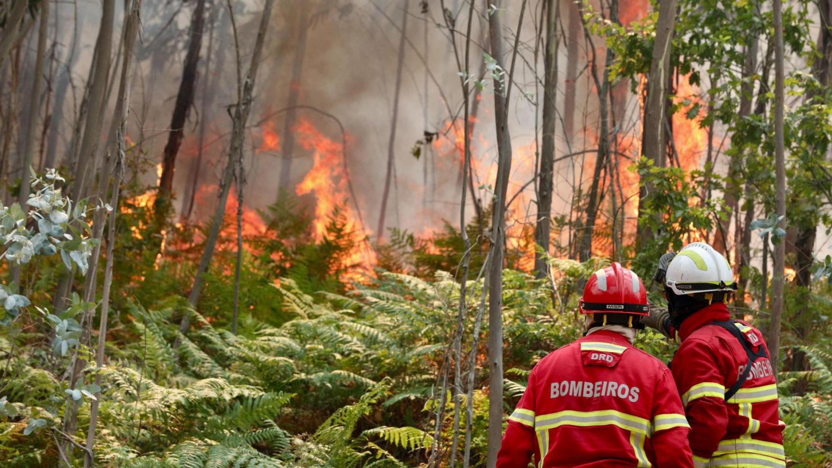 Un incendio en el norte de Portugal arrasa 4.800 hectáreas y amenaza Galicia: para los bomberos es imprevisible