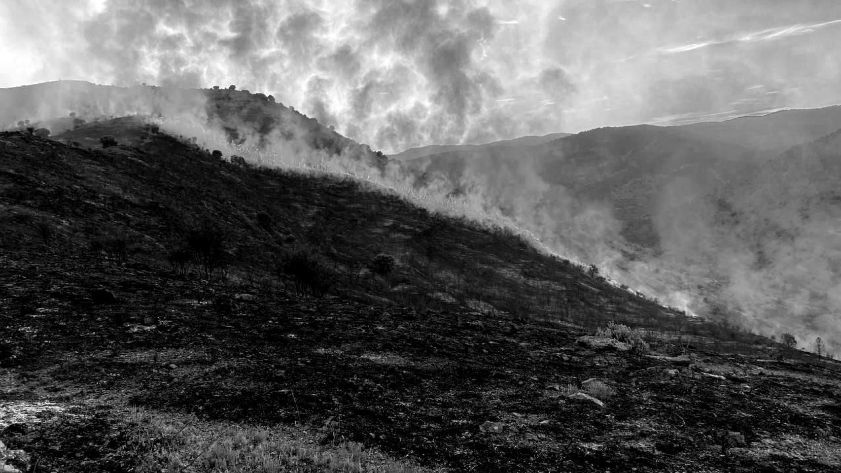 Tecnología contra los incendios: lecciones de un verano que ya huele a humo