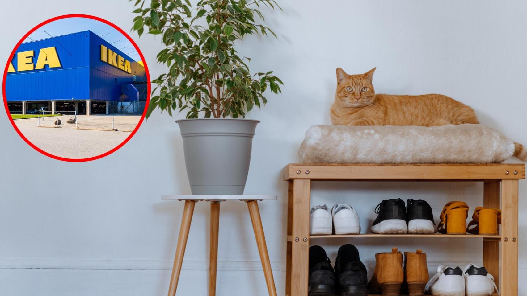 Myladelrey's OnlyFans buzz