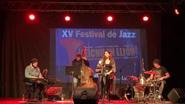 Nuria Martínez durante un concierto