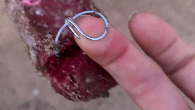 Los cebos de carne con alambre encontrados en Valparaíso.