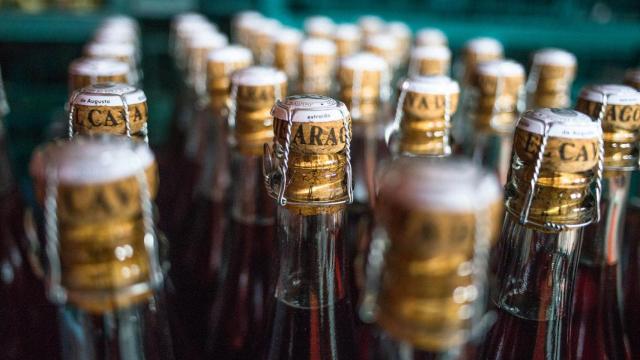 Cava Reyes de Aragón, de Bodegas Langa