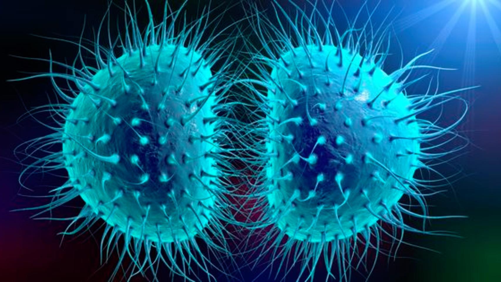 La vacuna de la meningitis, última esperanza para frenar el auge de casos de gonorrea:  Disminuirá la transmisión 